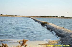 33 SANTA POLA LES SALINES (27)